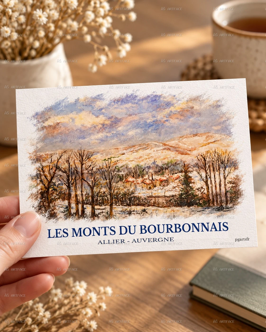 Les Monts Bourbonnais - carte